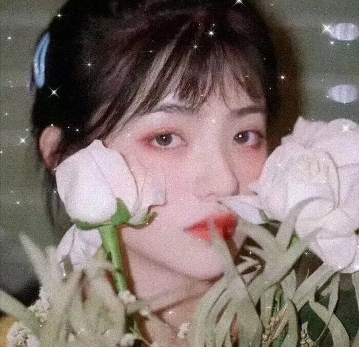 黑帮掌门人